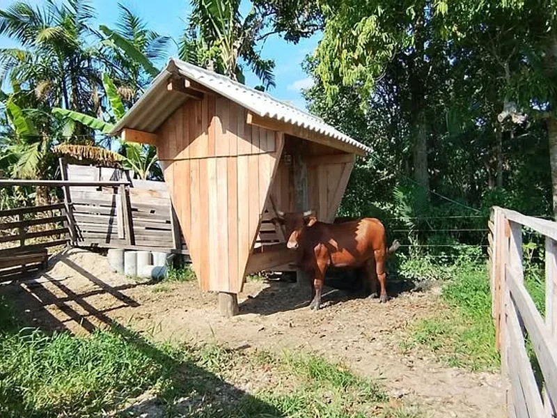 OPORTUNIDADE EM GASPAR: 10.000m² + RIO + PASTAGEM PRONTA