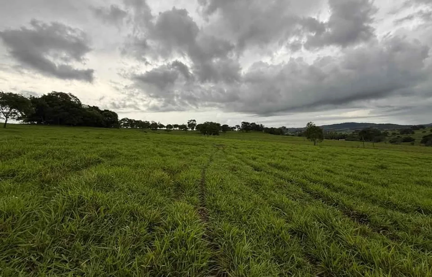Terreno para Chalé com Água Corrente e Queda Natural — 1.000m² | Paulo Lopes/SC